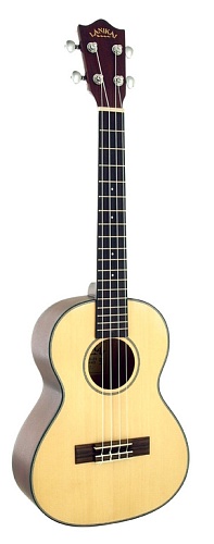 Hohner USTS Solid Spruce  
