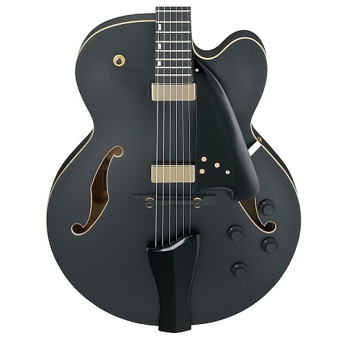 IBANEZ AFC125-BKF Archtop  
