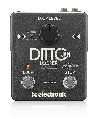 TC Electronic DITTO JAM X2 LOOPER     BeatSense